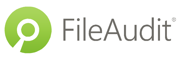 imagen file audit